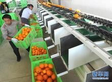 深圳二手食品生产线进口代理全流程解析 西班牙搬迁、备案中检、报关一站式服务